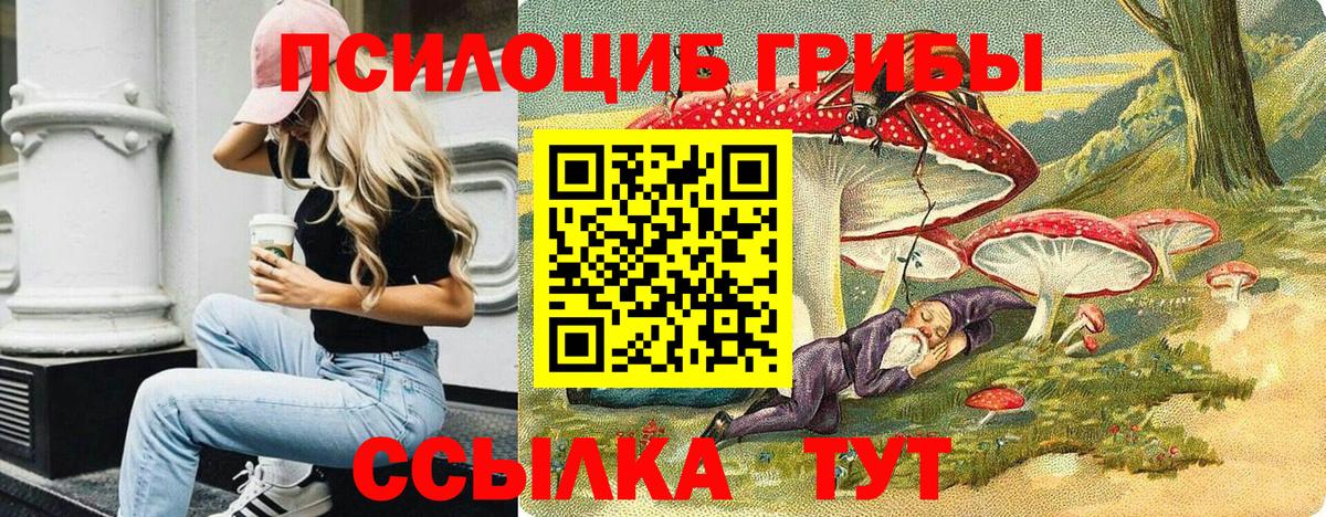 Подольск  Псилоцибиновые грибы Psilocybine cubensis  Вход с VPN 